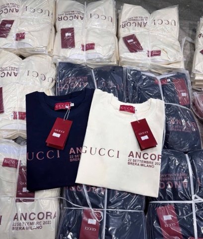 ÁO PHÔNG TEE CỘC TAY 2 MÀU NỮ