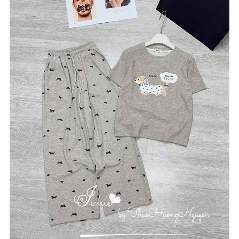 SET BỘ CHÓ BE XÁM QUẦN SUÔNG NỮ
