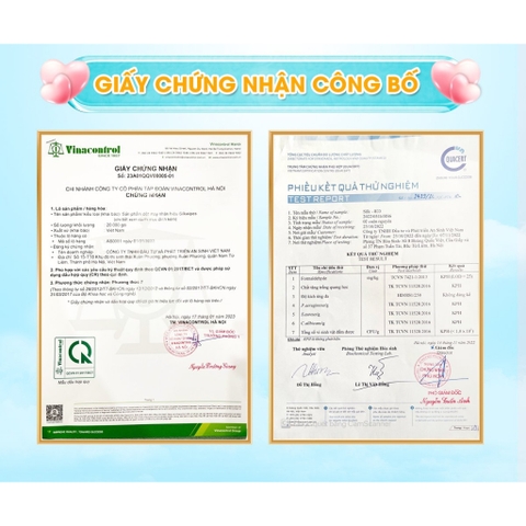 COMBO 04 Món - Khăn mặt cuộn, khăn nén hộp 30 viên, lọ nén 10 viên và 01 khắn tắm nén - CKTHL1