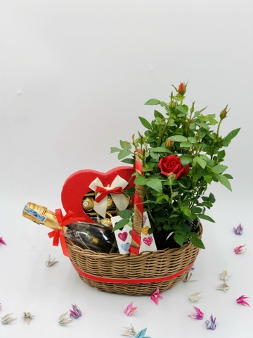 Kỷ niệm ngọt ngào