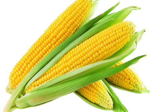 BABY CORN FLAVOR