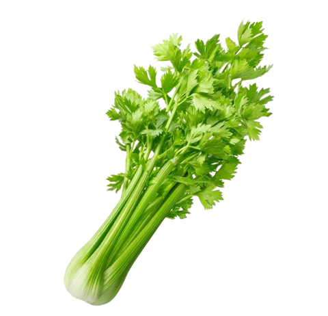 CELERY FLAVOR