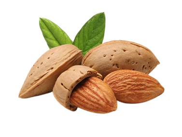 ALMOND FLAVOR