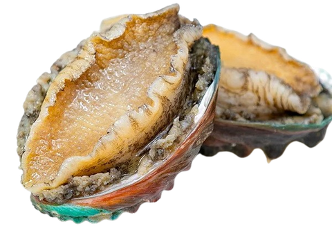 ABALONE EXTRACT