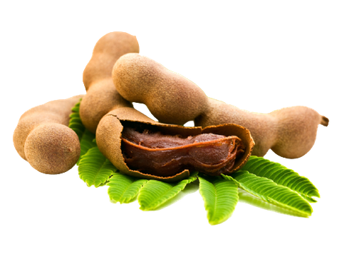 TAMARIND EXTRACT