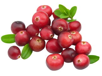 CRANBERRY FLAVOR