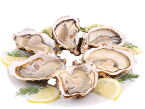 OYSTER FLAVOR