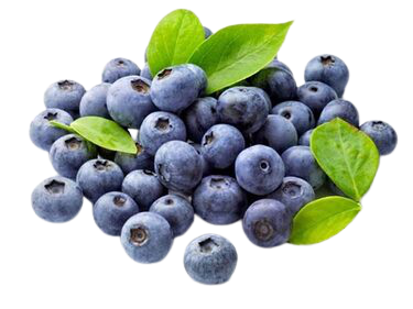 BLUEBERRY FLAVOR