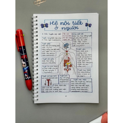 Bộ sổ tay công thức (Takenote) các môn toán, tiếng việt, tiếng Anh, Lý, Hóa, Sinh từ lớp 2 đến lớp 12