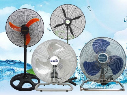 Mua quạt cây công nghiệp