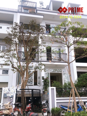 Thi công công trình phào chỉ Pu trơn tại biệt thự k4 Ciputra