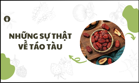Những Sự Thật Về Táo Tàu Bạn Nhất Định Phải Biết