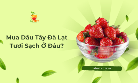 Mua Dâu Tây Đà Lạt Tươi Sạch Ở Đâu?