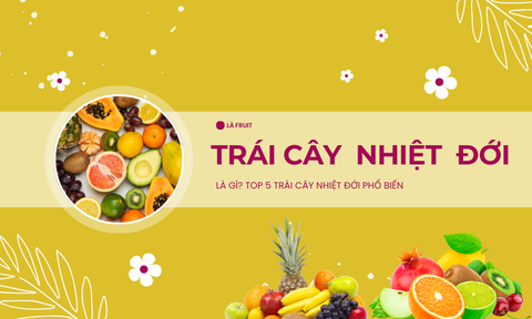 Trái cây nhiệt đới là gì? 5 loại trái cây nhiệt đới tốt nhất cho sức khỏe