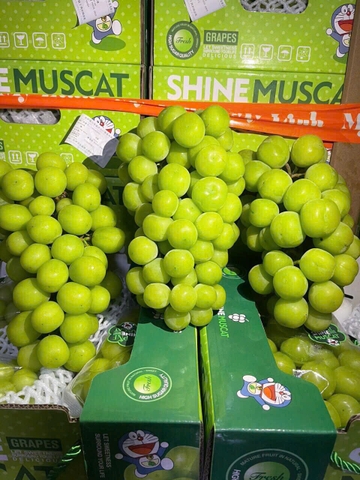 Nho mẫu đơn