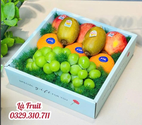 M-Khay quà tặng trái cây 02