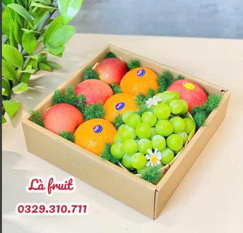 M-Khay quà tặng trái cây 05