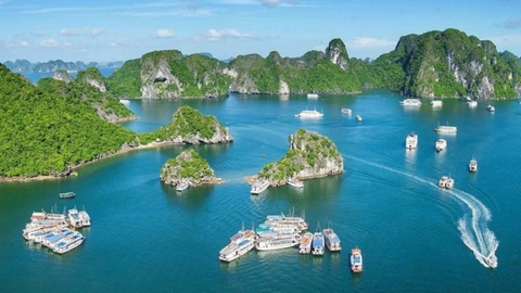 TOUR DU LỊCH ĐẢO NGỌC CÁT BÀ - VỊNH LAN HẠ 2 NGÀY 1 ĐÊM