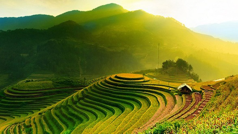 TOUR DU LỊCH HÀ NỘI - MÙ CANG CHẢI 2 NGÀY 1 ĐÊM