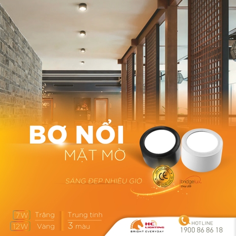 Bơ nổi mặt mờ - Sáng đẹp nhiều giờ