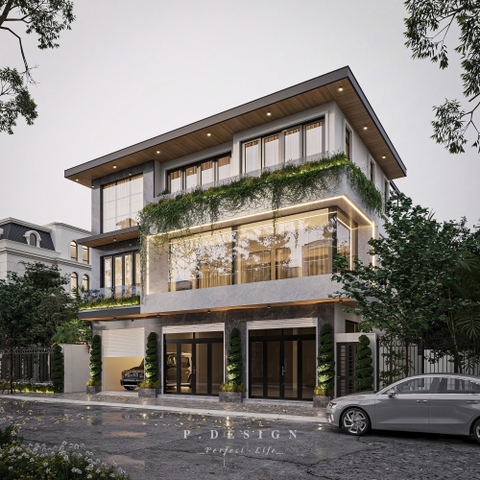 Dự án: DUCDINH - NP07