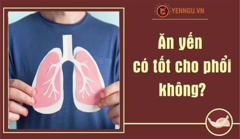 Ăn yến có tốt cho phổi không? Lợi ích bất ngờ đối với sức khỏe phổi