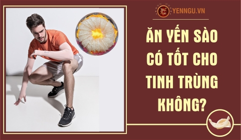 Ăn Yến có tốt cho tinh trùng không?
