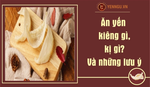 Ăn yến kiêng gì, kị gì? Và những điều cần lưu ý khi sử dụng yến