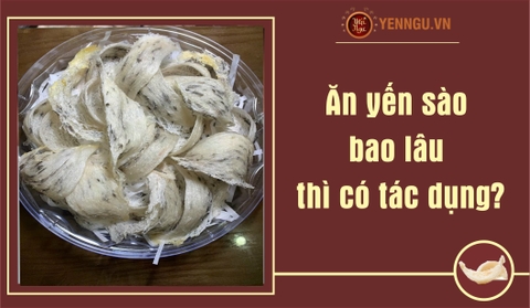 Ăn yến sào bao lâu thì có tác dụng?