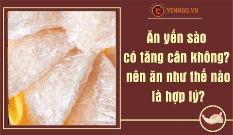 Ăn Yến sào có tăng cân không, nên ăn như thế nào là hợp lý?