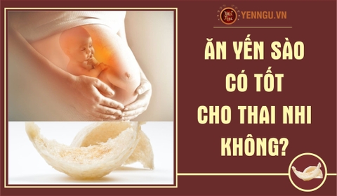 Ăn yến có giúp thai nhi tăng cân không?