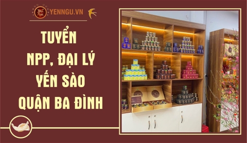 Yến Sào Quận Ba Đình
