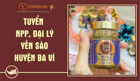 Yến Sào Huyện Ba Vì
