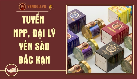 Yến Sào Bắc Kạn