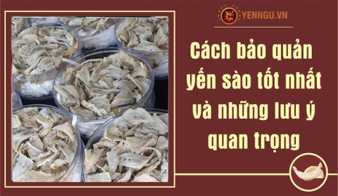 Cách bảo quản Yến Sào