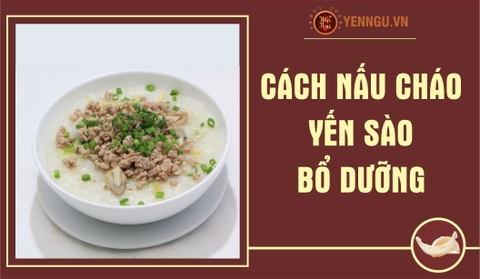 Cách Nấu Cháo Yến Sào - Món Ăn Bổ Dưỡng Cho Mọi Lứa Tuổi