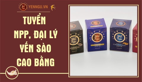 Yến Sào Cao Bằng