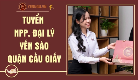 Yến Sào Quận Cầu Giấy