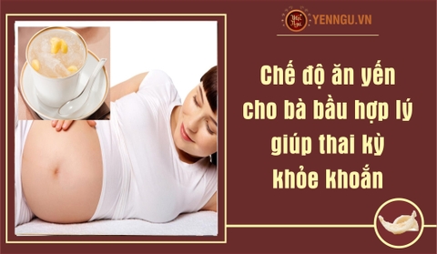 Chế độ ăn yến cho bà bầu hợp lý giúp thai kỳ khỏe khoắn