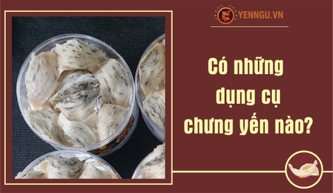 Những dụng cụ chưng Yến Sào phổ biến hiện nay