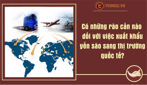 Có những rào cản nào đối với việc xuất khẩu yến sào sang thị trường quốc tế?