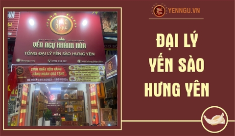 Yến Sào Hưng Yên