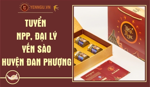 Yến Sào Huyện Đan Phượng