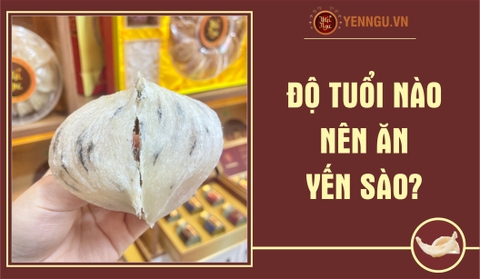 Độ tuổi nào nên ăn yến sào?