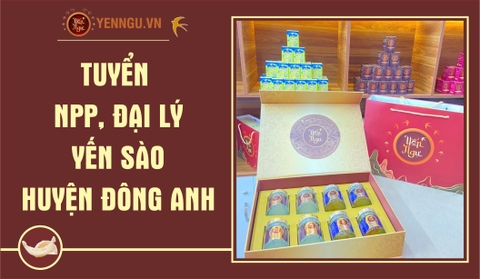 Yến Sào Huyện Đông Anh