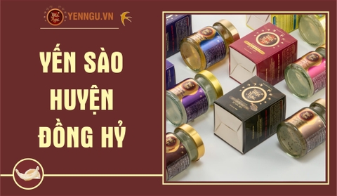 Yến Sào Huyện Đồng Hỷ