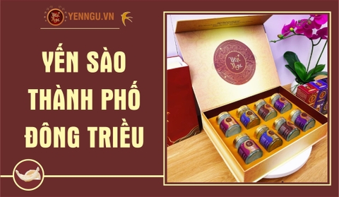 Yến Sào Thành Phố Đông Triều