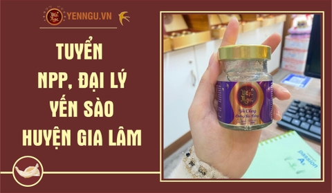 Yến Sào Huyện Gia Lâm