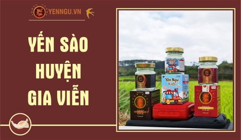 Yến Sào Huyện Gia Viễn