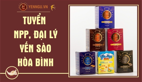 Yến Sào Hòa Bình